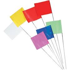 Town Of Cary Pin Flags, 4521 (Box of 1000)