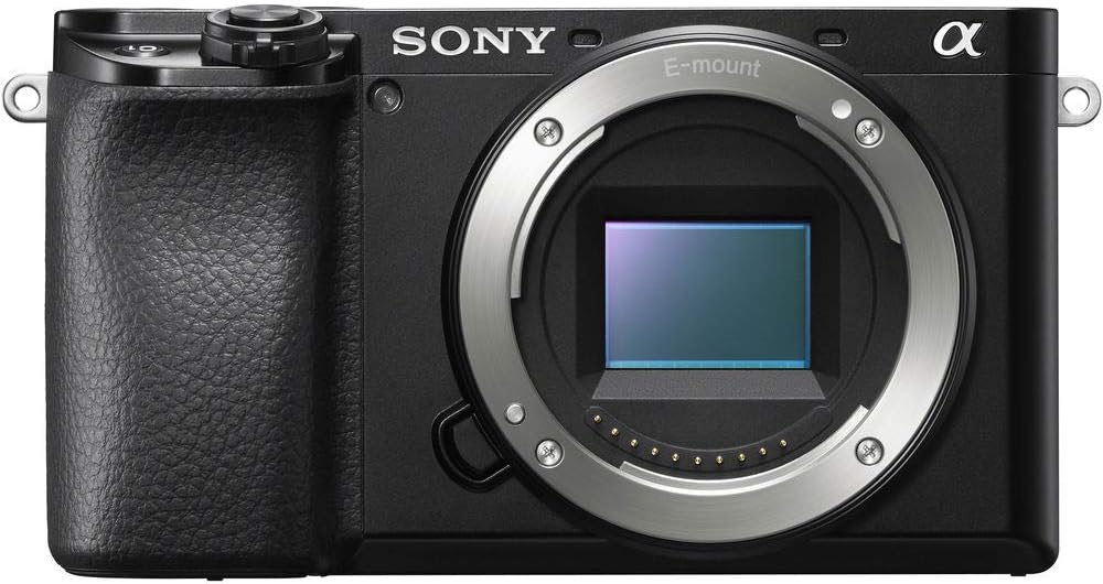Sony a6100 Payload GenII