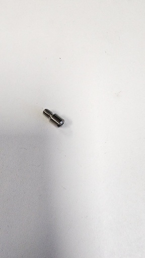 [381796] Leica Screw DIN927 M3*5 1.4104 (X14CrMoS17)