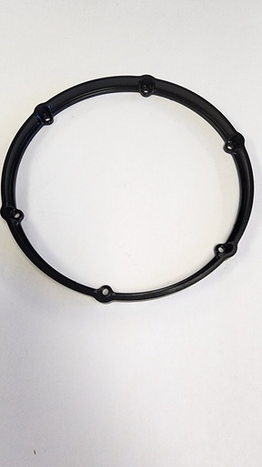 [793781] Leica Hold-Down Ring