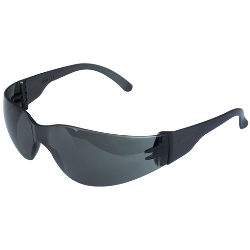 [PC LENS] Safety Glasses, Generic, Shaded and Clear